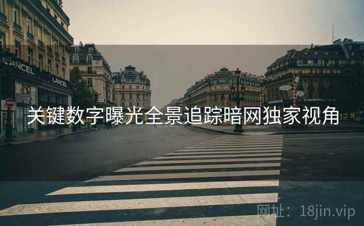关键数字曝光全景追踪暗网独家视角