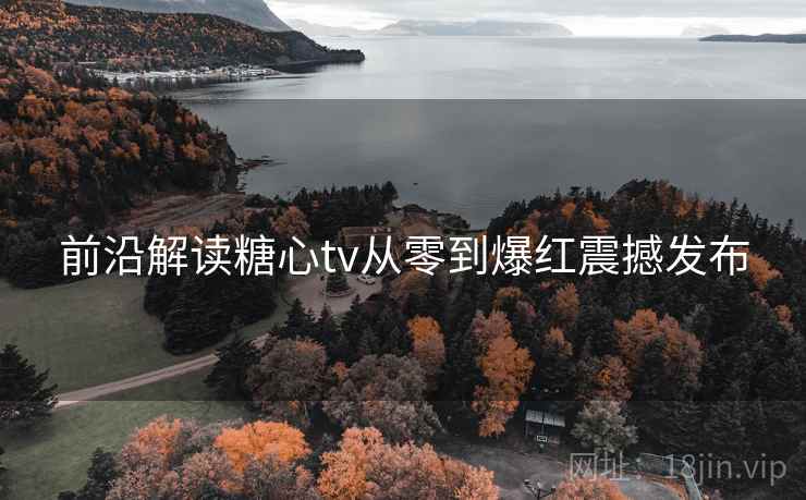 前沿解读糖心tv从零到爆红震撼发布  第2张