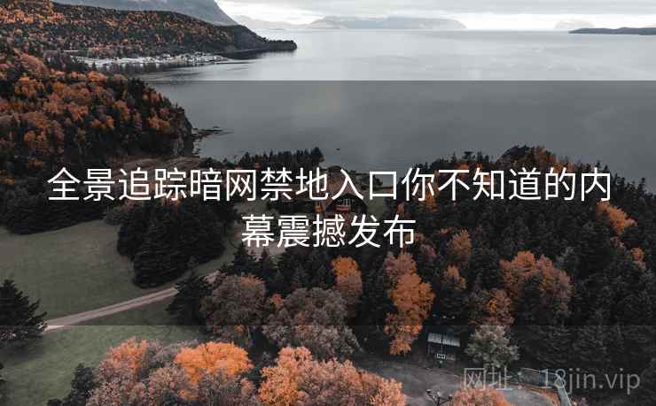 全景追踪暗网禁地入口你不知道的内幕震撼发布  第2张