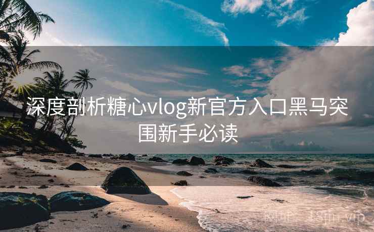 深度剖析糖心vlog新官方入口黑马突围新手必读