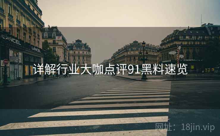 详解行业大咖点评91黑料速览