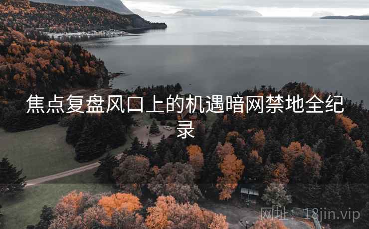 焦点复盘风口上的机遇暗网禁地全纪录