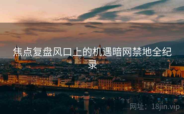 焦点复盘风口上的机遇暗网禁地全纪录