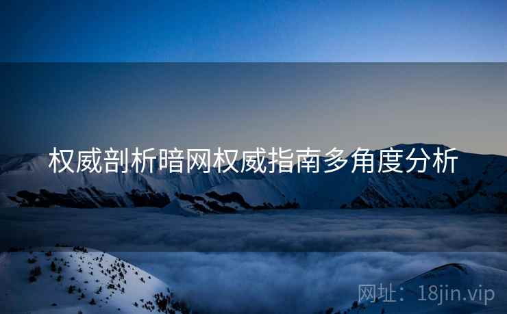 权威剖析暗网权威指南多角度分析