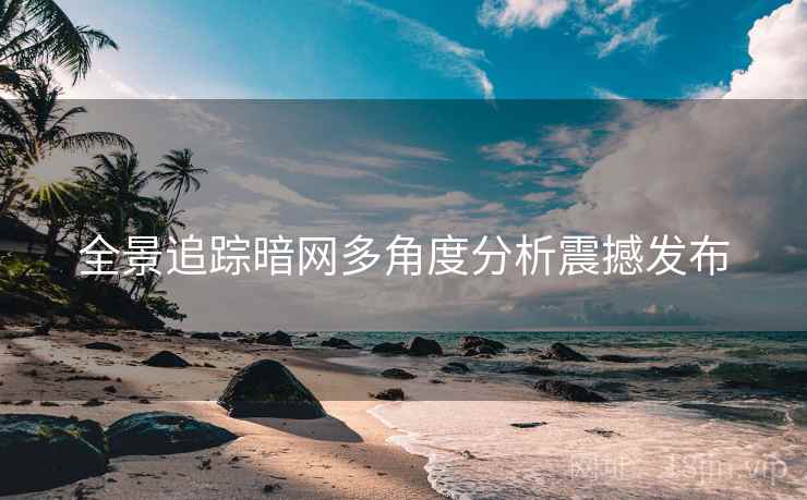 全景追踪暗网多角度分析震撼发布