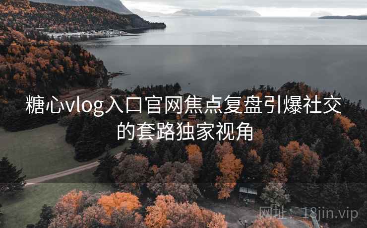 糖心vlog入口官网焦点复盘引爆社交的套路独家视角