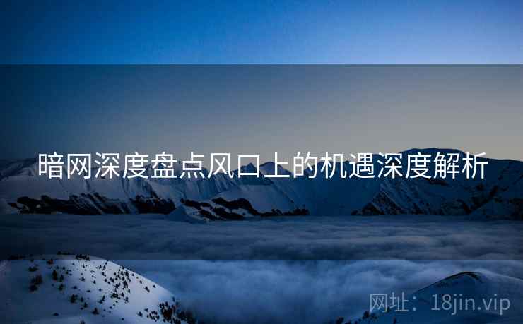 暗网深度盘点风口上的机遇深度解析