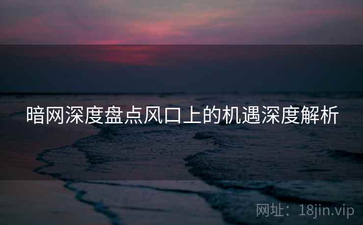 暗网深度盘点风口上的机遇深度解析