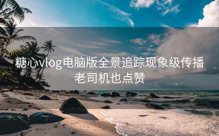 糖心vlog电脑版全景追踪现象级传播老司机也点赞  第1张