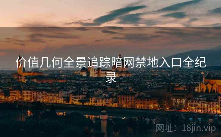 价值几何全景追踪暗网禁地入口全纪录  第1张