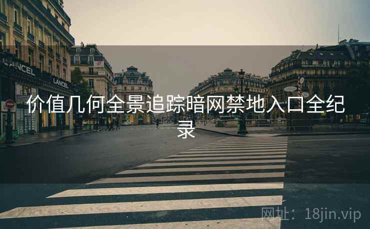价值几何全景追踪暗网禁地入口全纪录  第2张